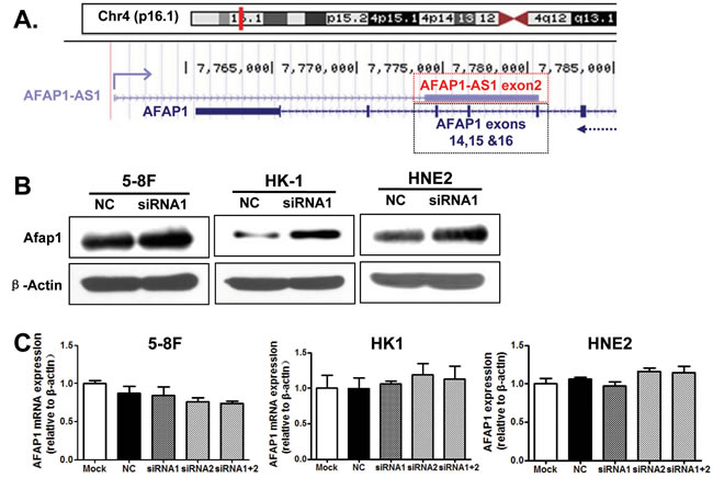 fig6