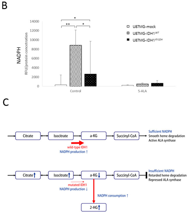 fig5b