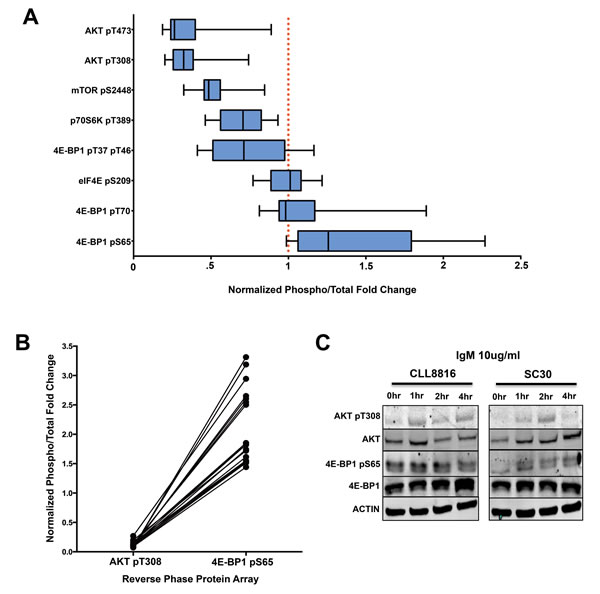 fig3