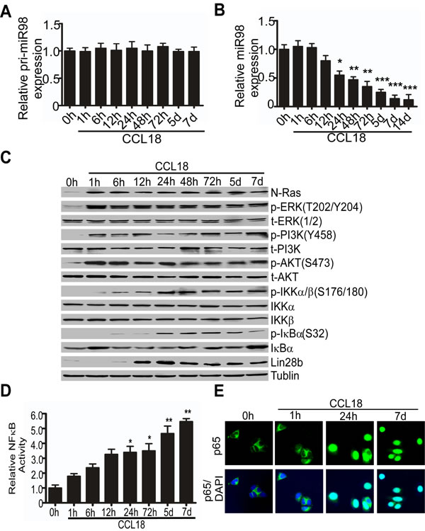 fig2