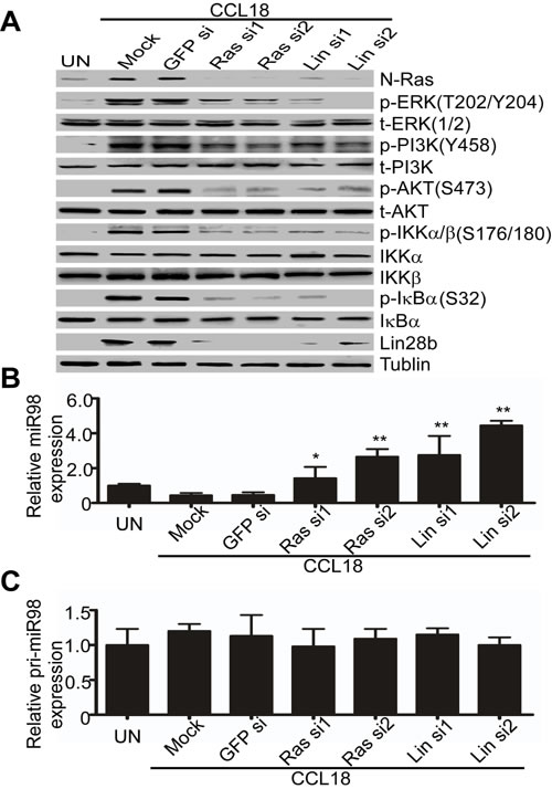 fig3