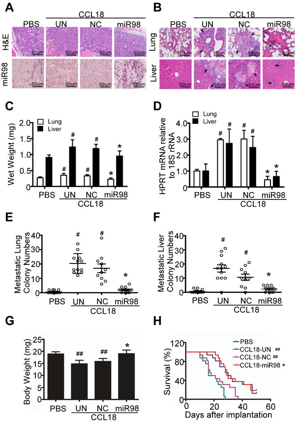 fig6