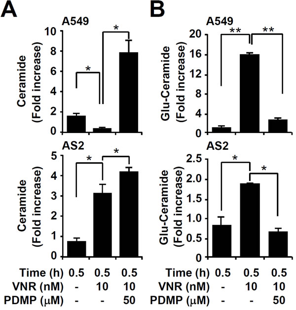 fig2