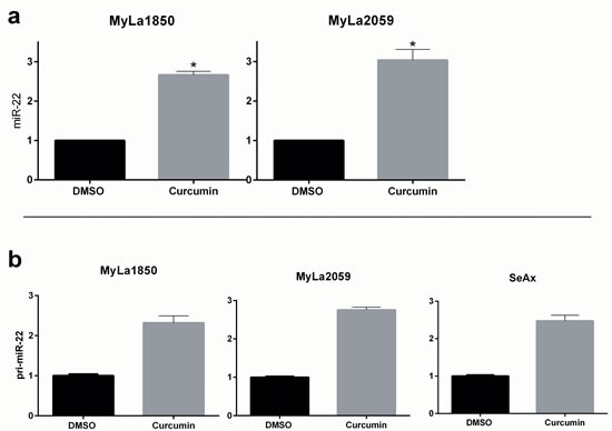 fig3