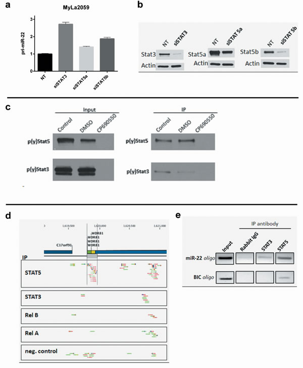 fig6
