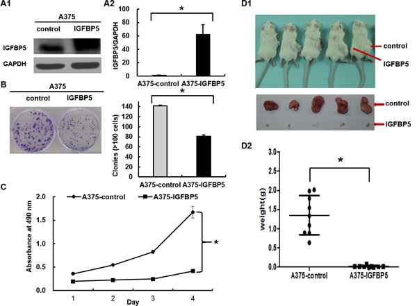 fig2