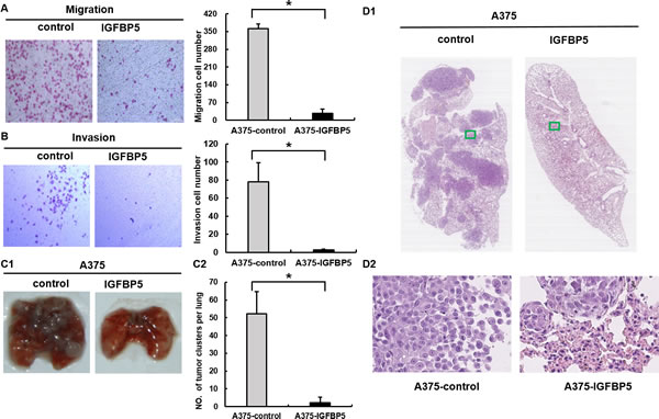 fig3
