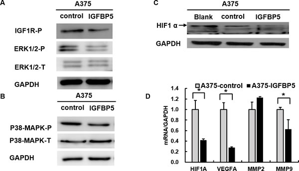 fig6