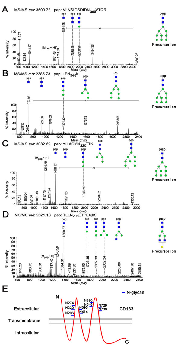 fig2