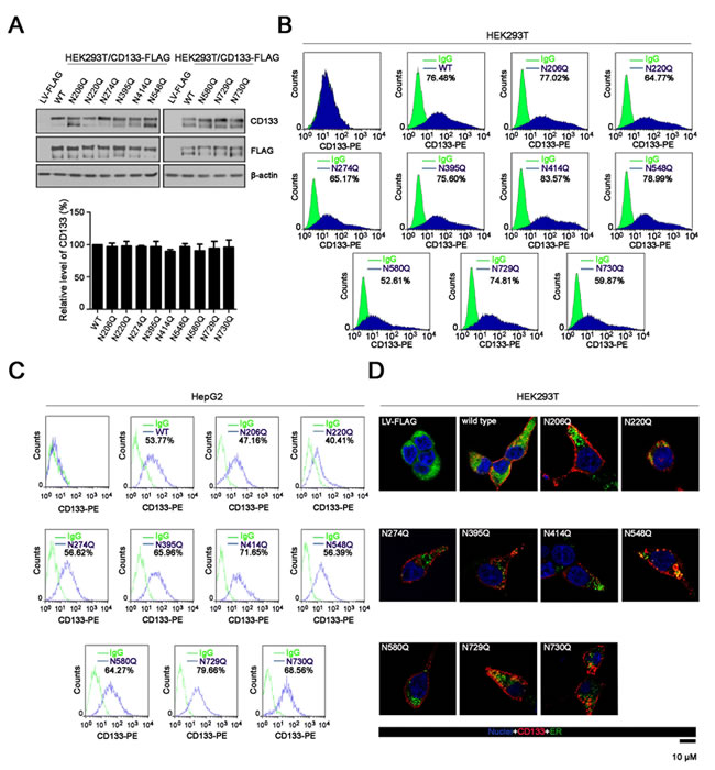 fig3
