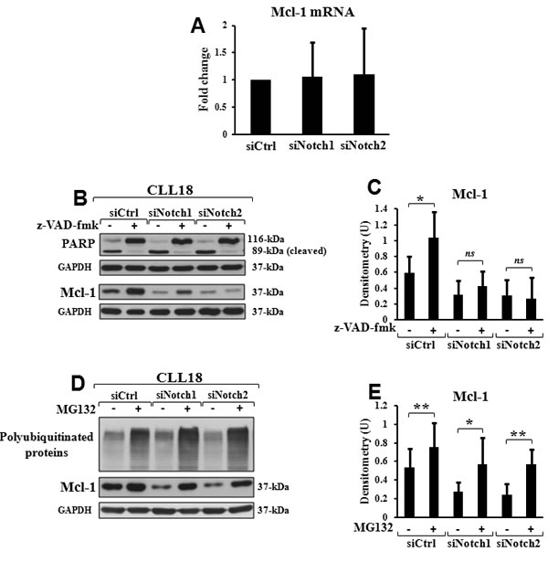 fig3