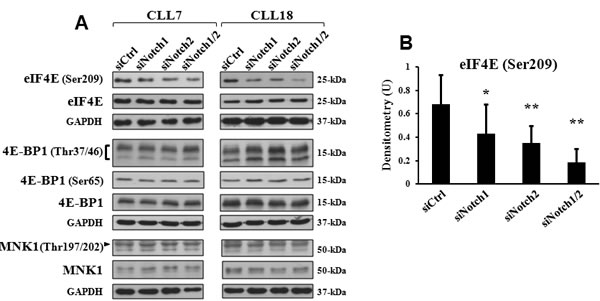 fig4