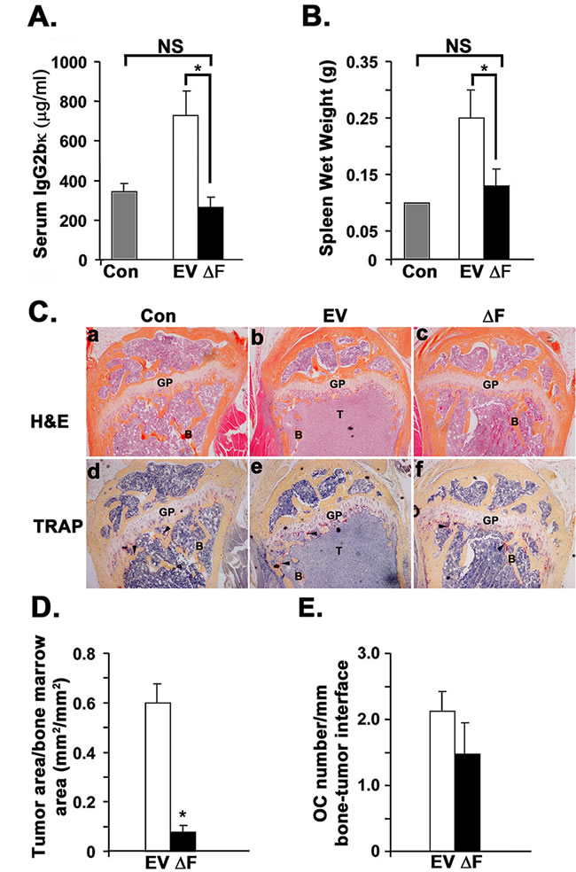 fig2