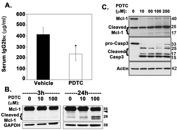 fig6