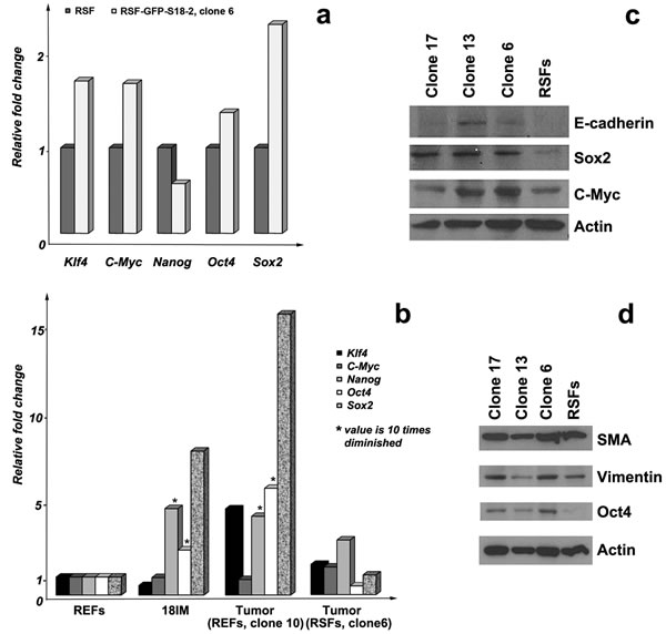 FIG2