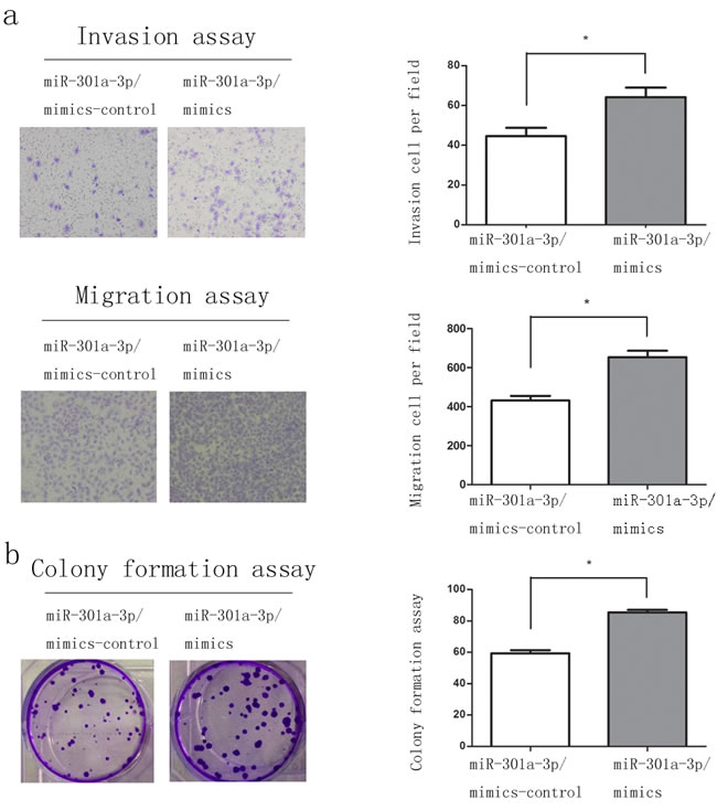 fig3