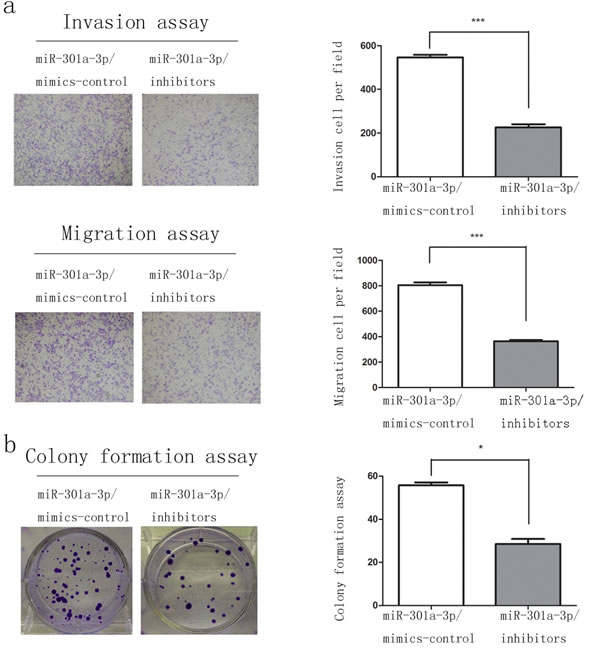 fig4