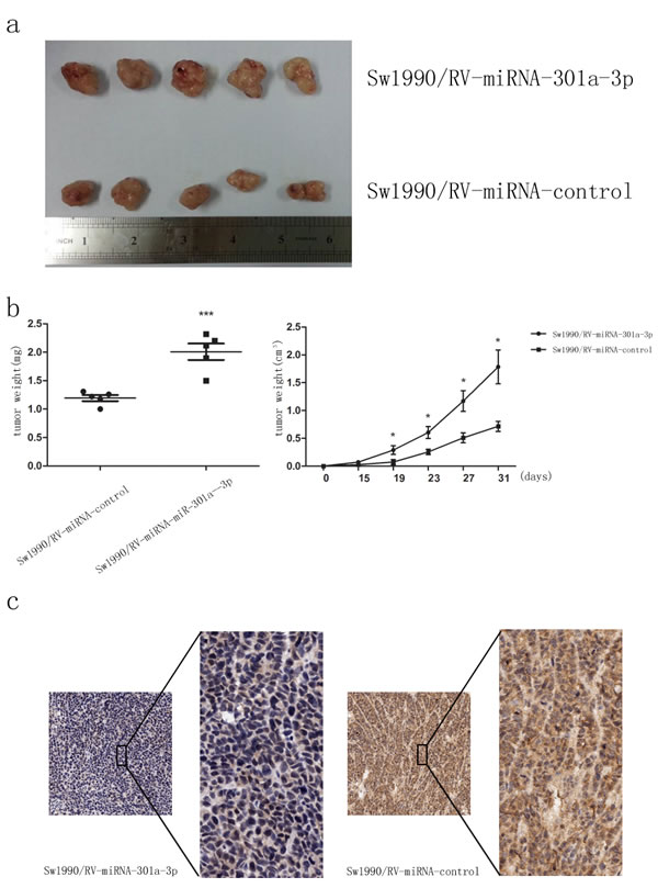 fig8
