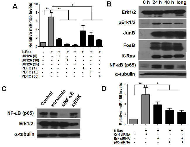 fig2