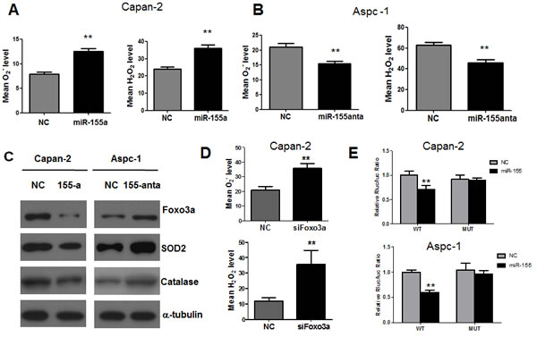 fig3
