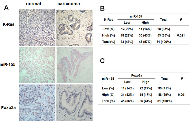 fig4