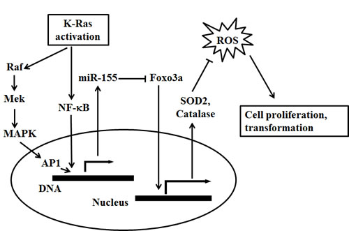 fig6