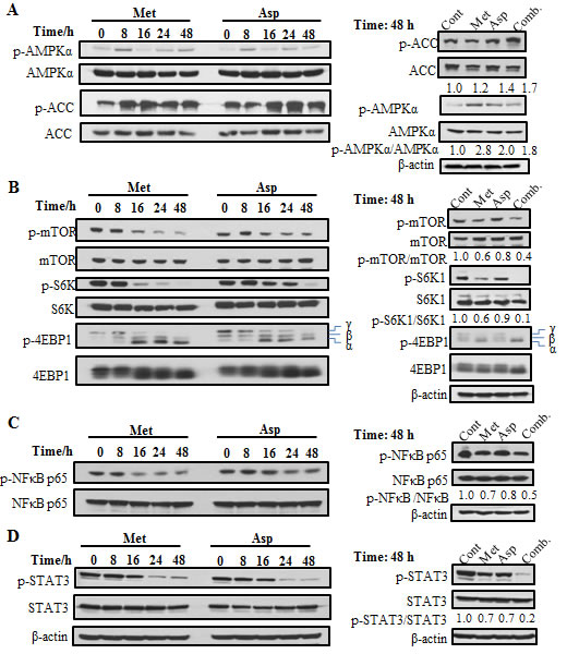 fig2