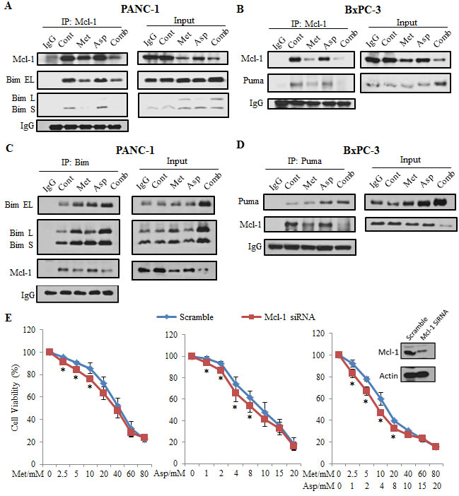 fig6