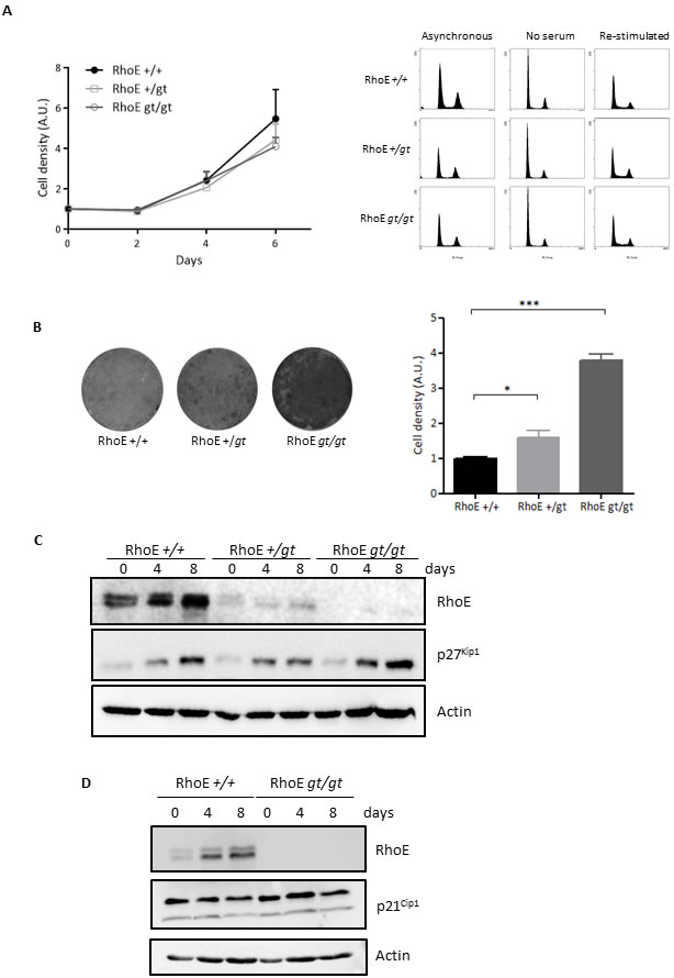 fig1