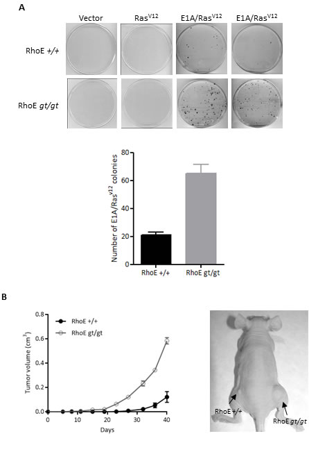 fig3