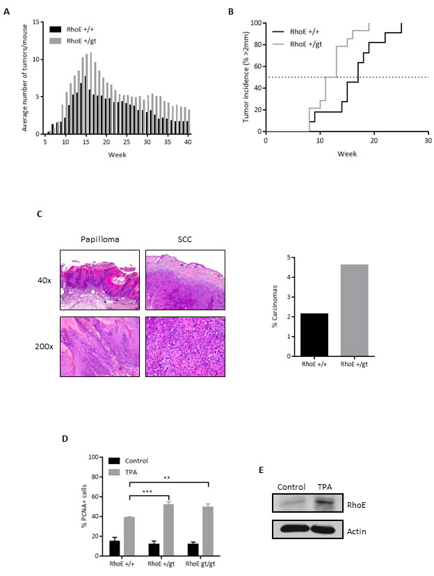 fig4