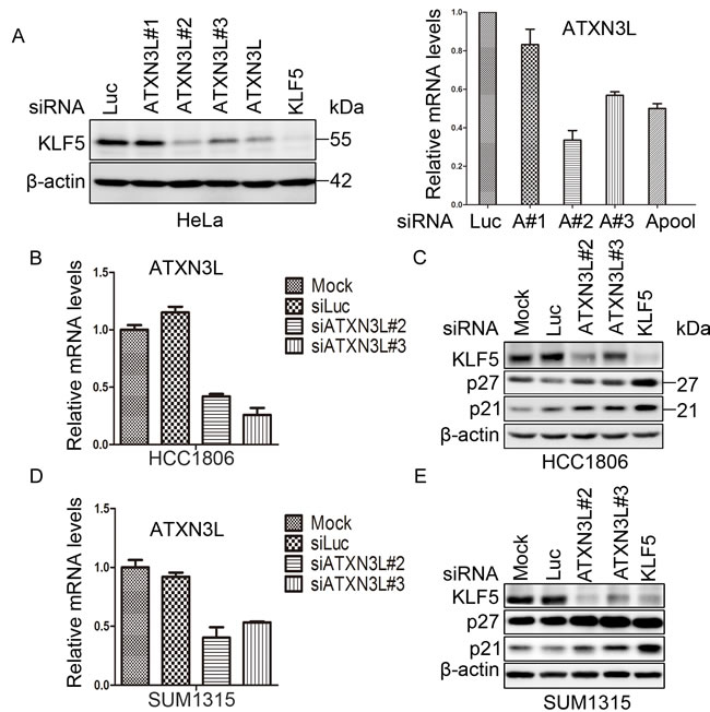 fig1