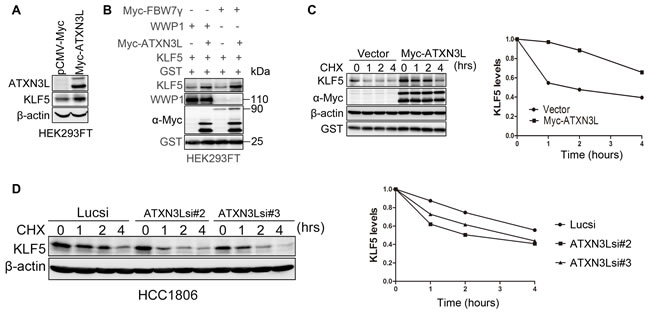 fig3