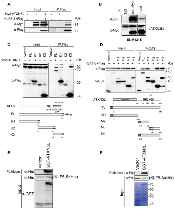 fig2