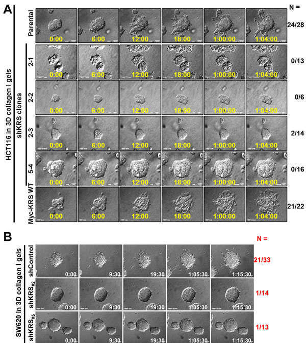 fig1a