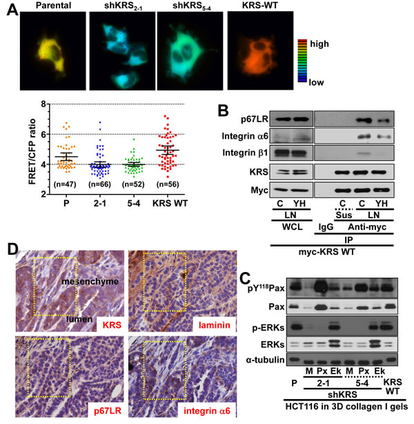 fig3a