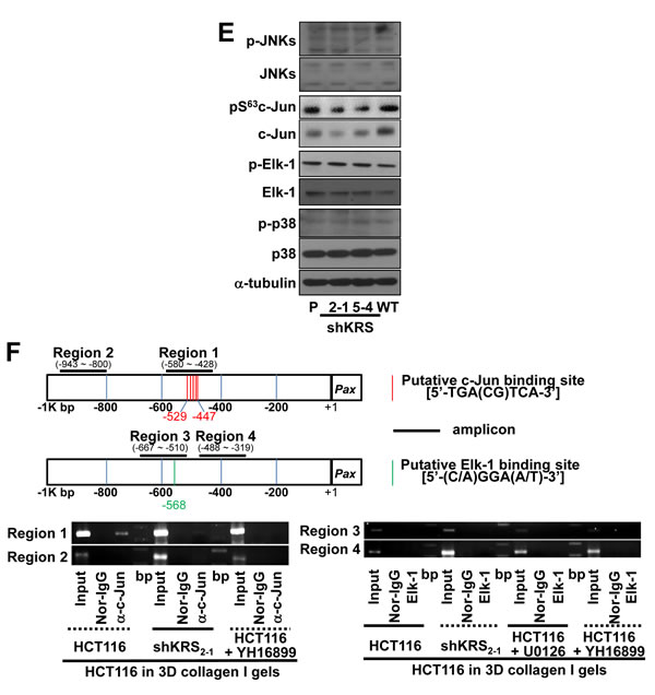 fig3b