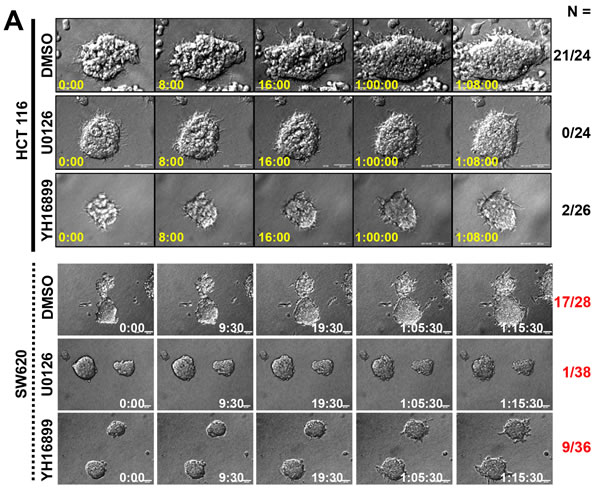 fig4a