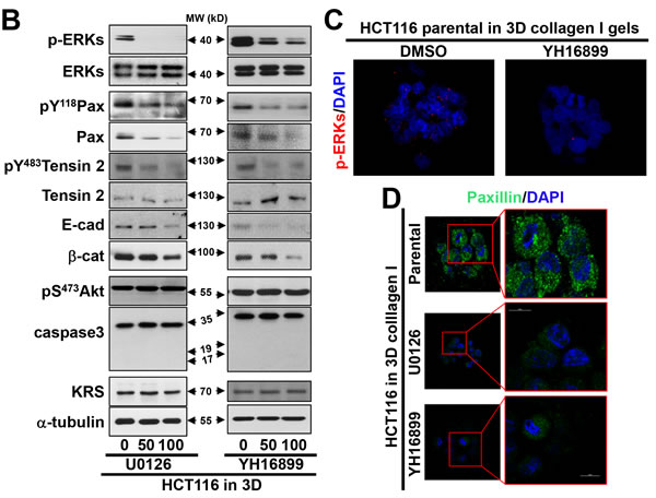 fig4b
