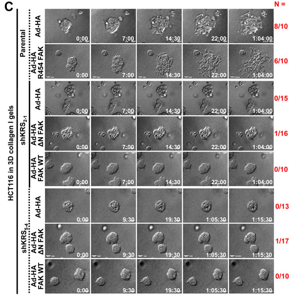 fig5b