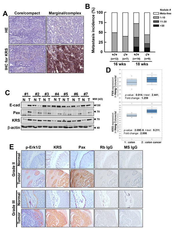 fig6a