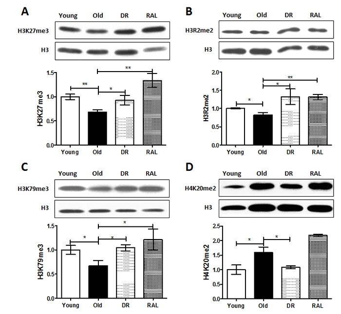 fig1