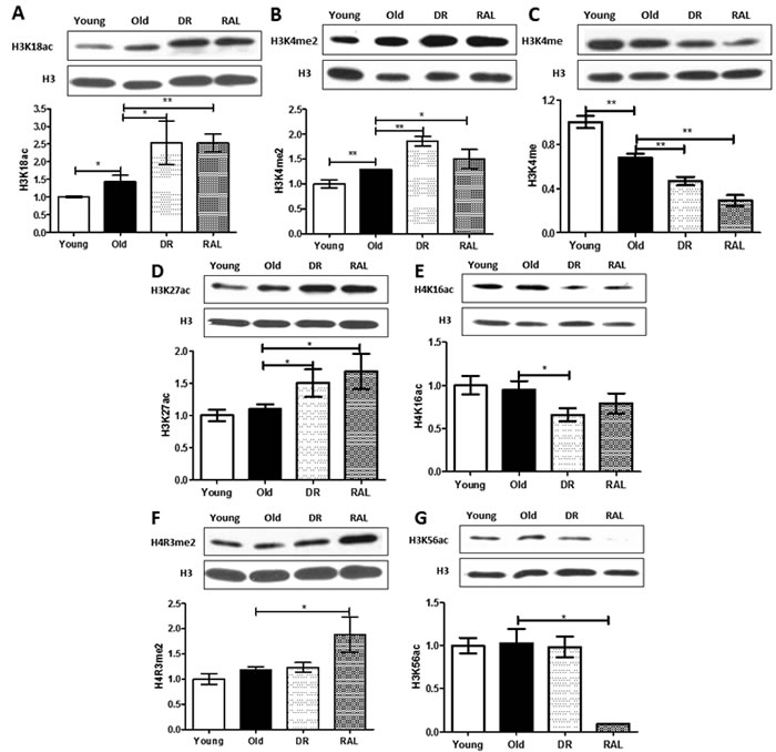 fig2