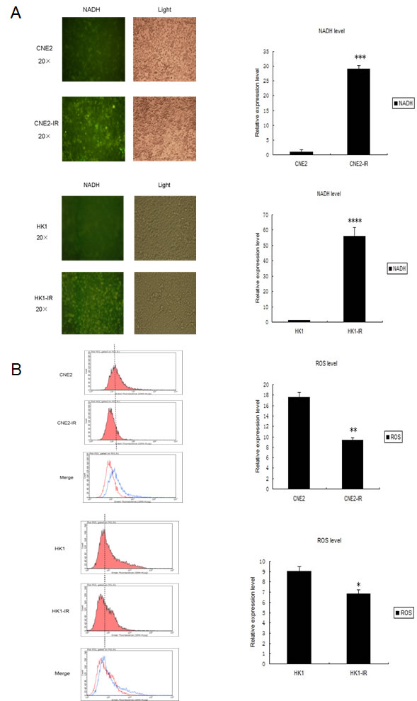 fig4