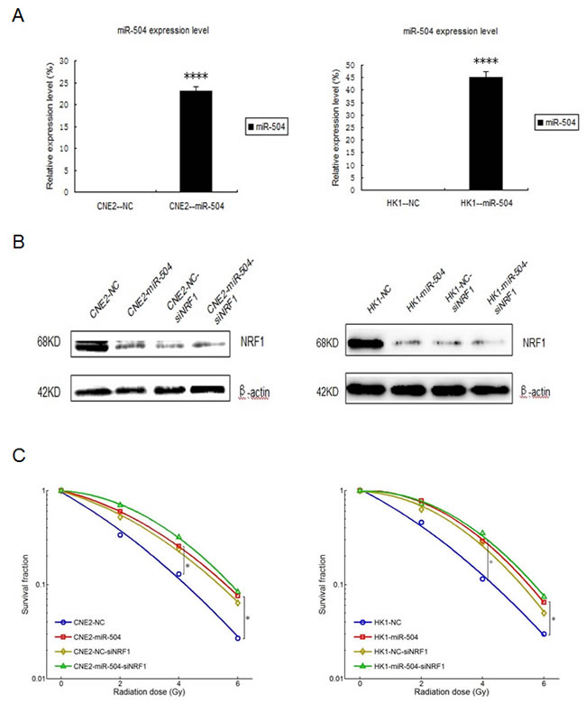 fig6