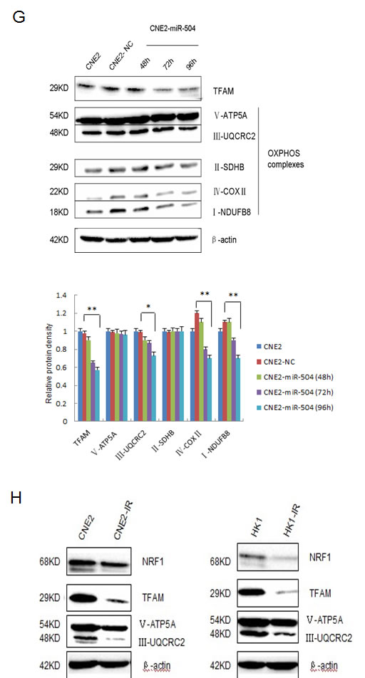 fig5a