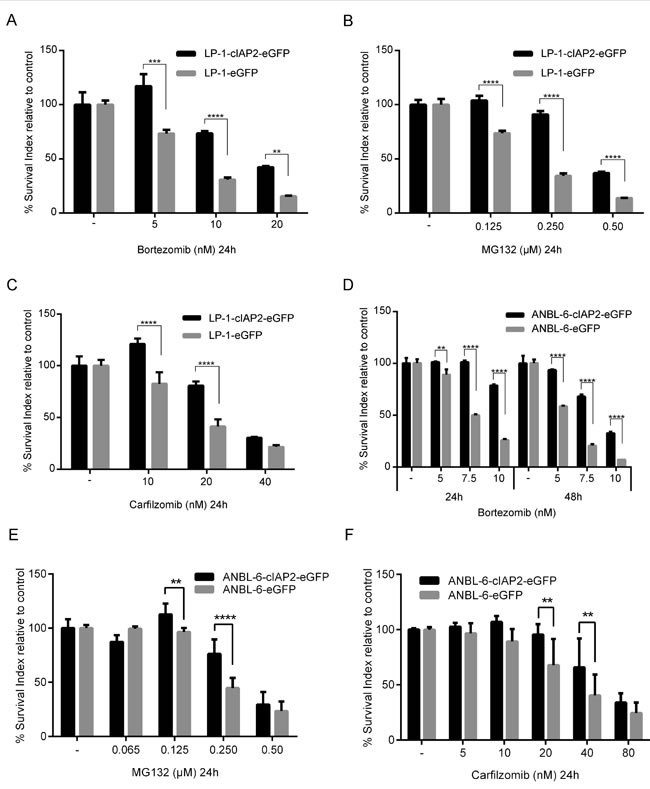 fig2