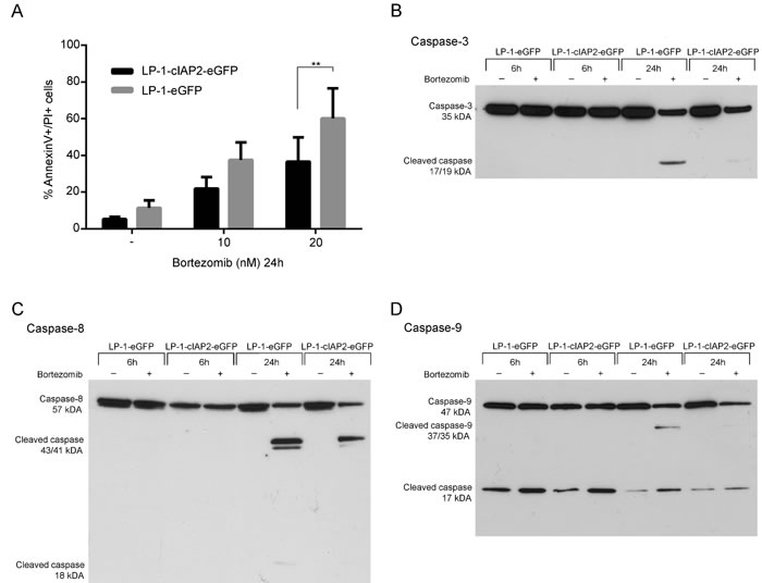 fig3