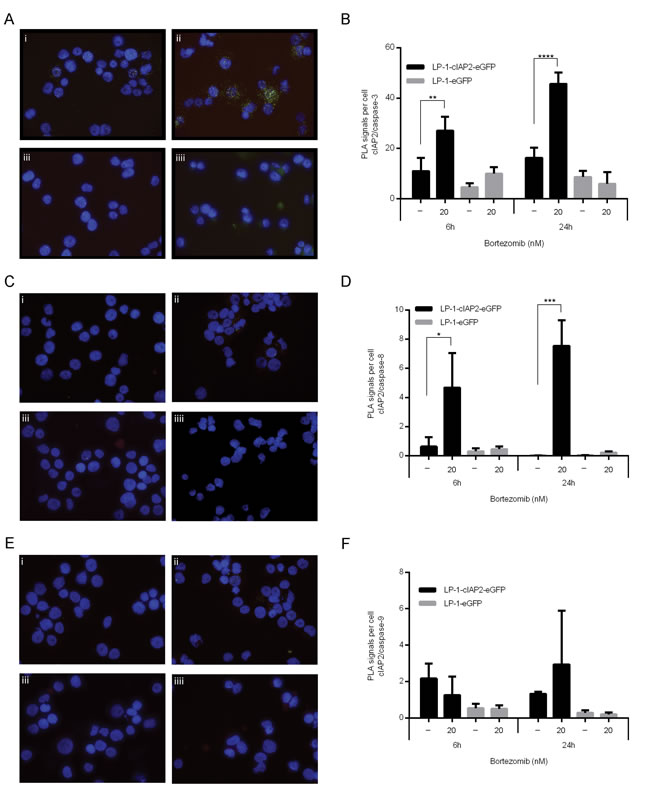 fig4