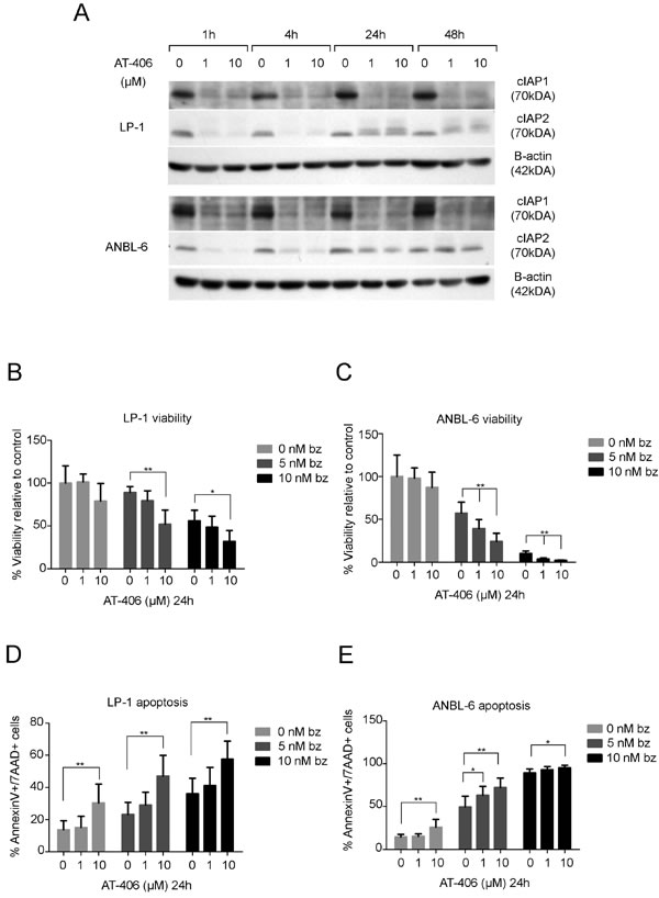 fig7